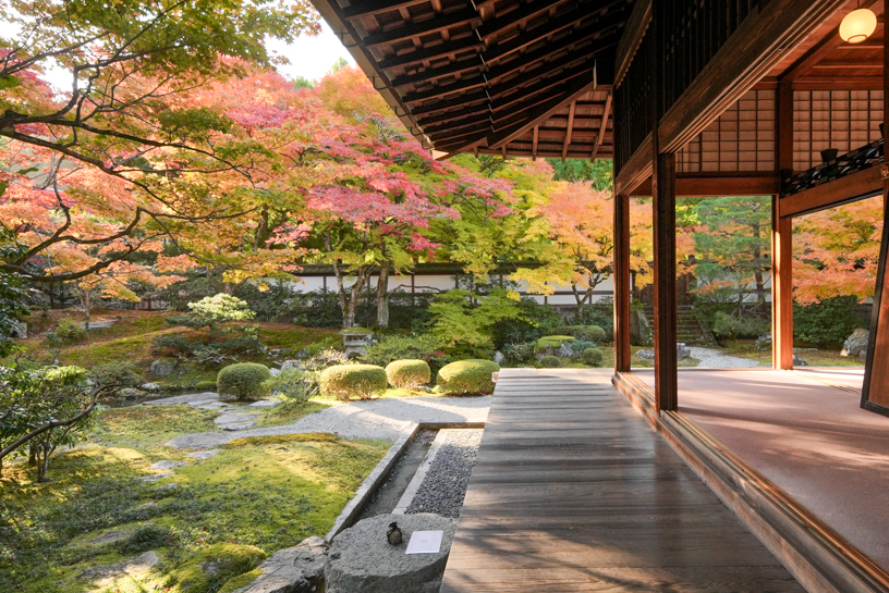 泉涌寺（撮影日：2024年11月28日）