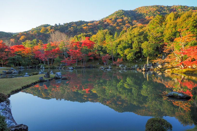 天龍寺（撮影日：2024年11月28日）