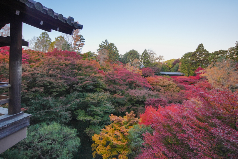 東福寺（撮影日：2024年11月28日）