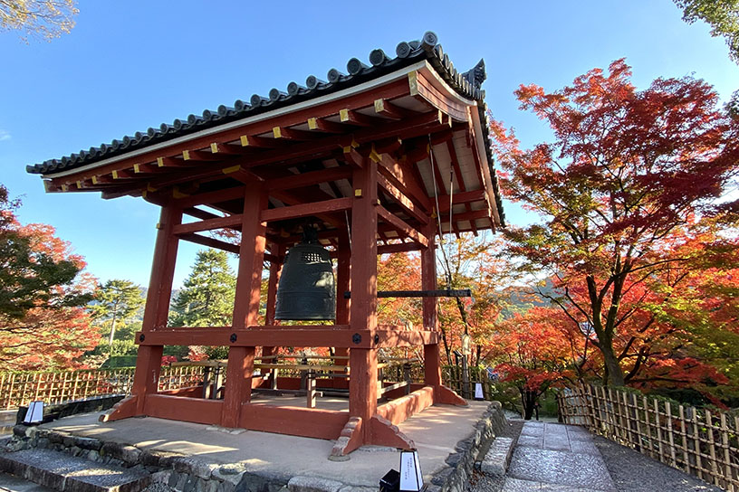 平等院（撮影日：2024年11月29日）