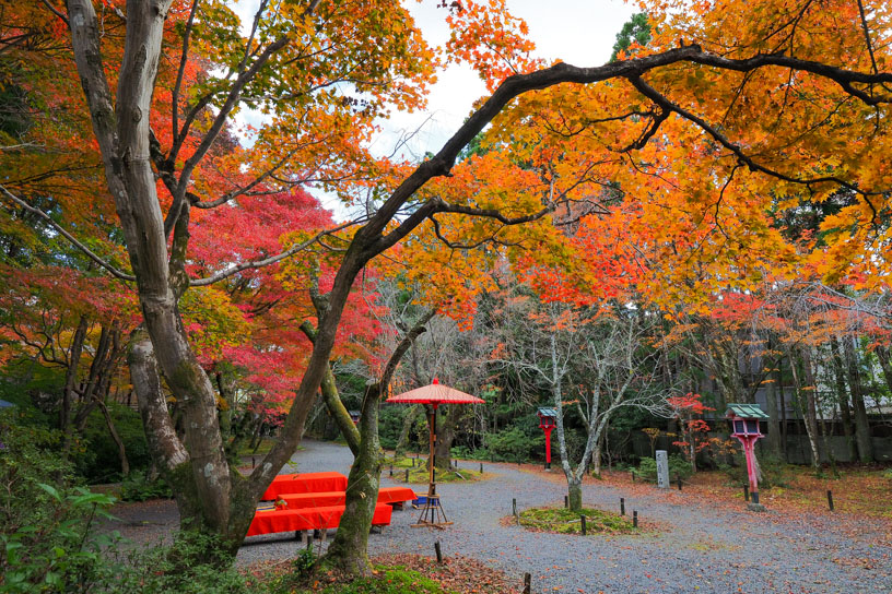 常照寺（撮影日：2024年11月29日）