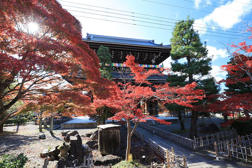 くろ谷 金戒光明寺（撮影日：2024年11月28日）