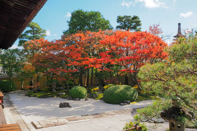 妙顕寺（撮影日：2024年11月29日）