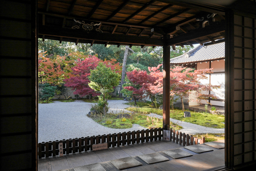 廬山寺 源氏の庭（撮影日：2024年11月29日）