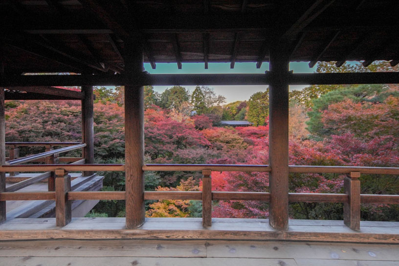 東福寺（撮影日：2024年11月28日）