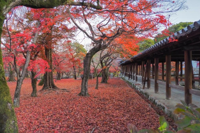 東福寺（撮影日：2020年12月4日）