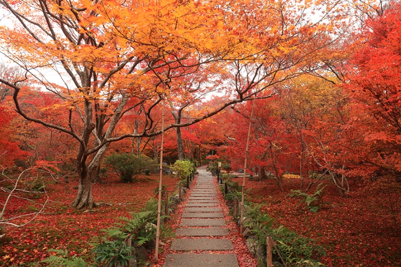 宝筐院（撮影日：2023年12月5日）