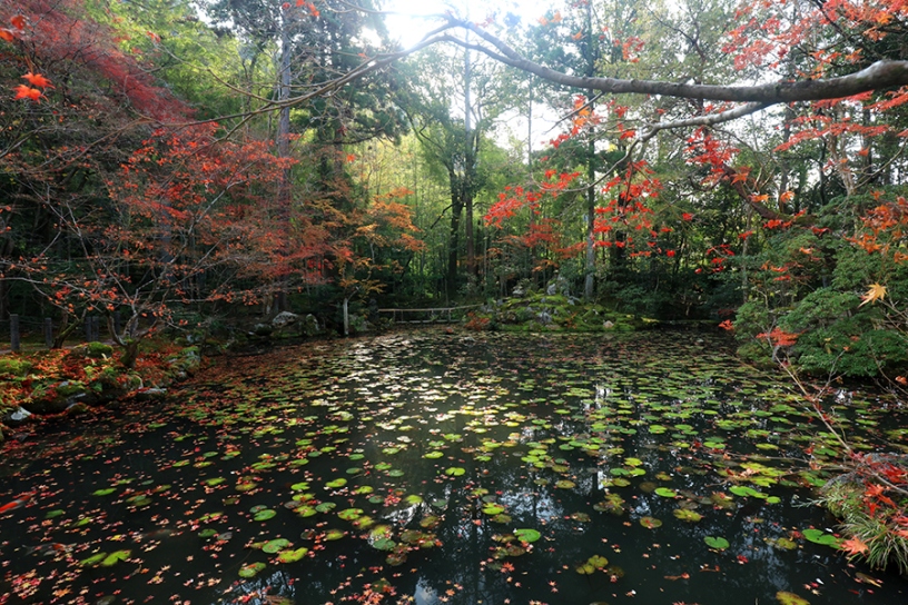 南禅寺 天授庵（撮影日：2023年12月7日）