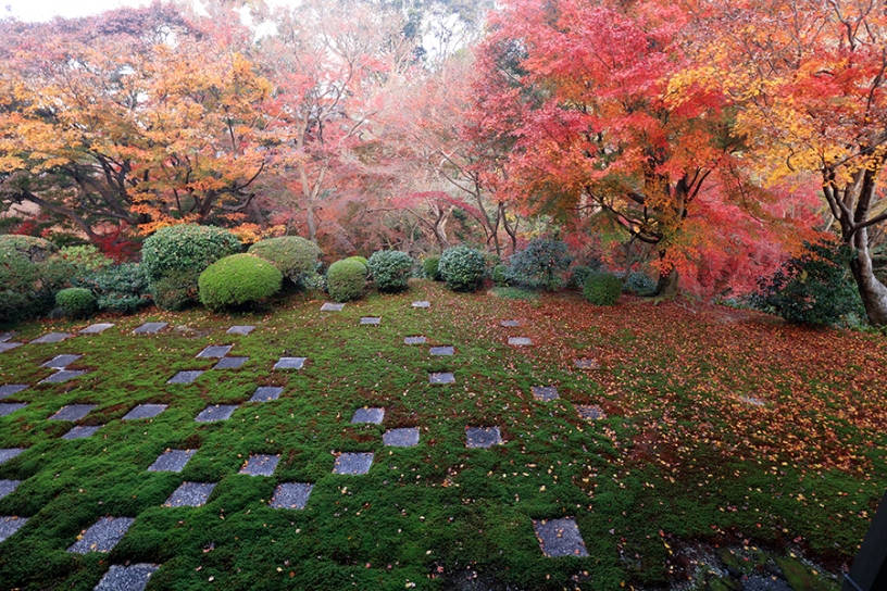 東福寺（撮影日：2018年12月5日）