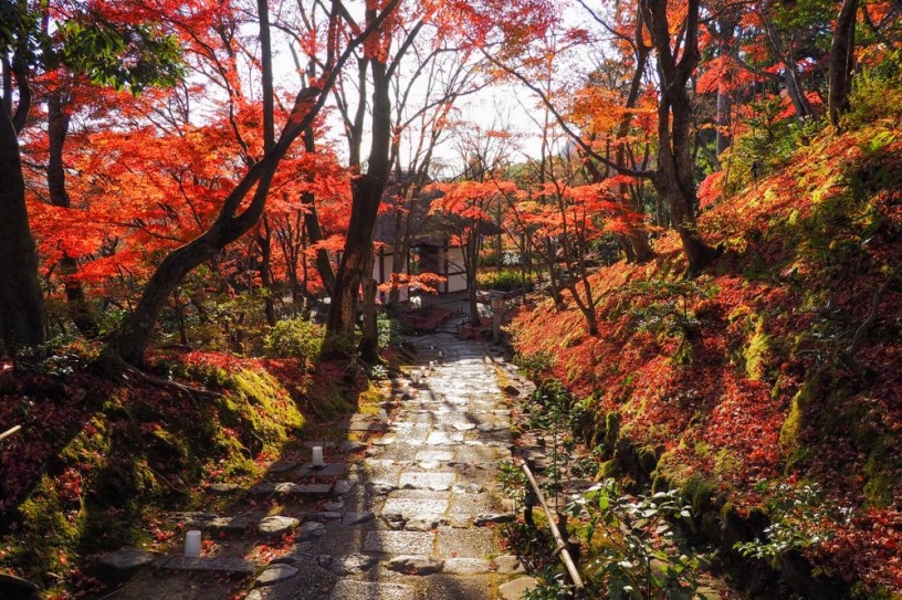 常寂光寺（撮影日：2020年12月5日）