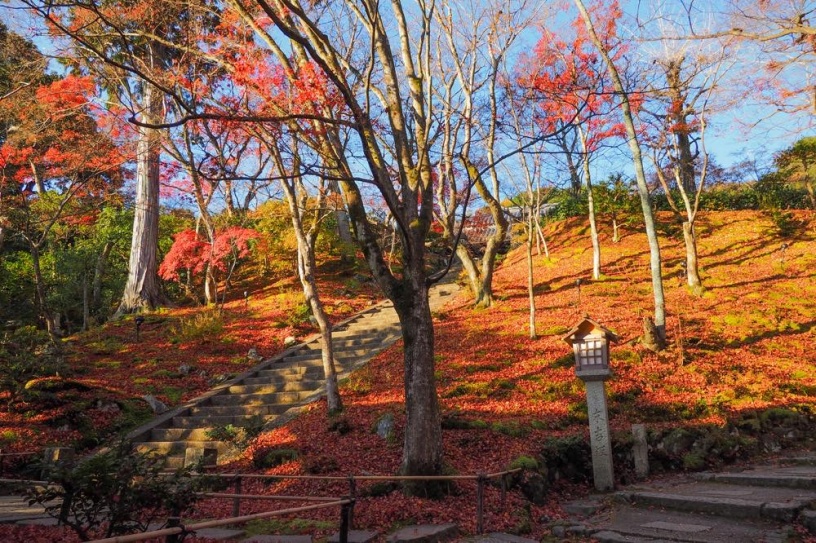 常寂光寺（撮影日：2020年12月5日）