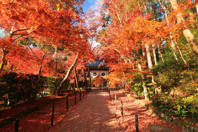 光明寺（撮影日：2019年12月5日）