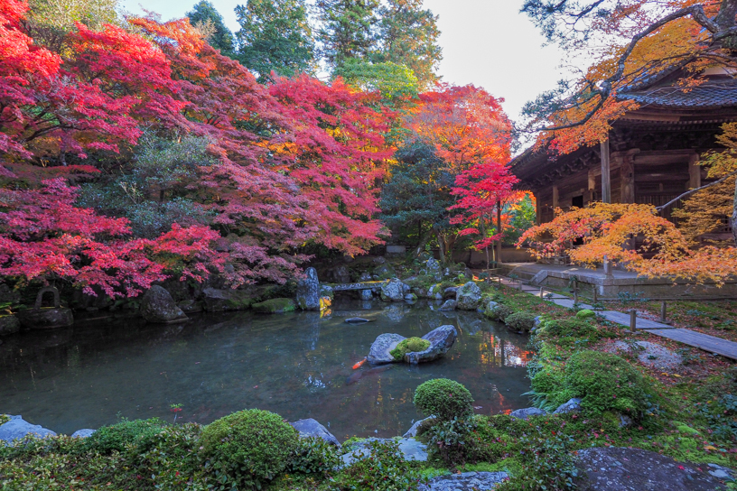 蓮華寺（撮影日：2024年12月4日）