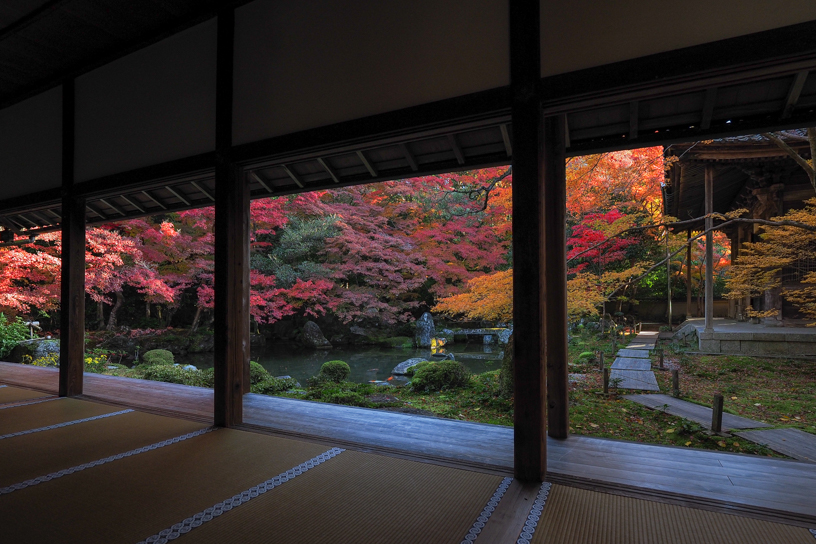 蓮華寺（撮影日：2024年12月4日）