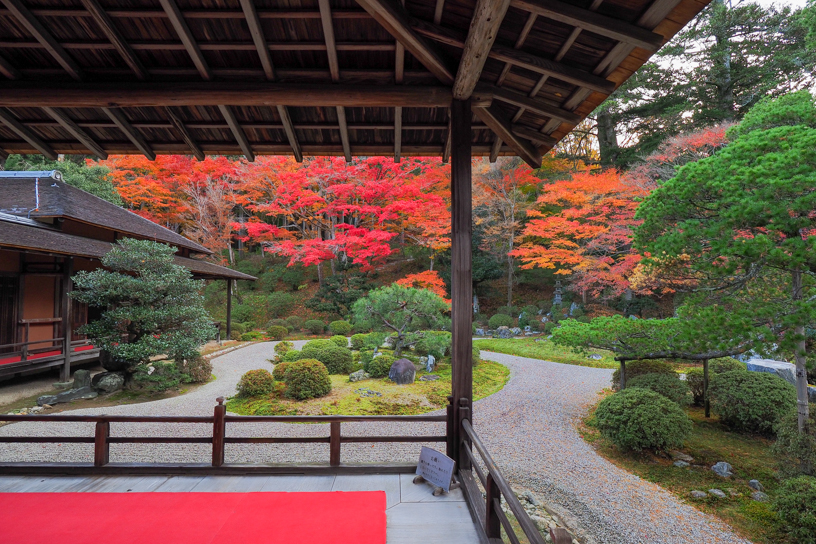 曼殊院（撮影日：2024年12月5日）