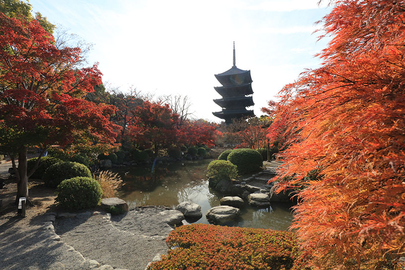 東寺（撮影日：2024年12月5日）