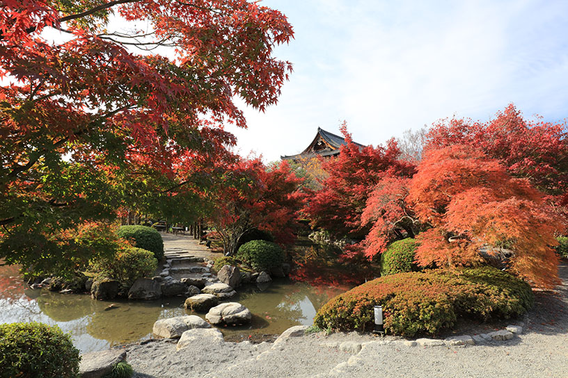 東寺（撮影日：2024年12月5日）