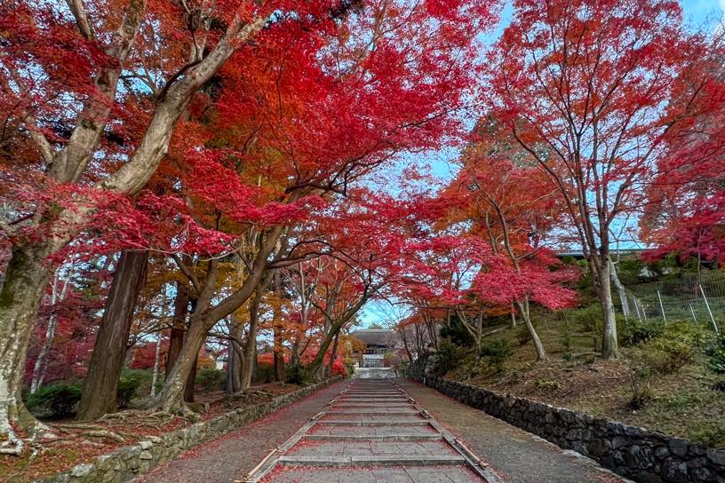 毘沙門堂 勅使門前の参道（撮影日：2024年12月6日）