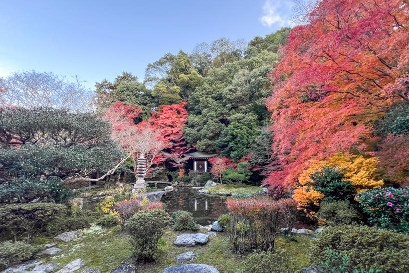 毘沙門堂 晩翠園（撮影日：2024年12月6日）