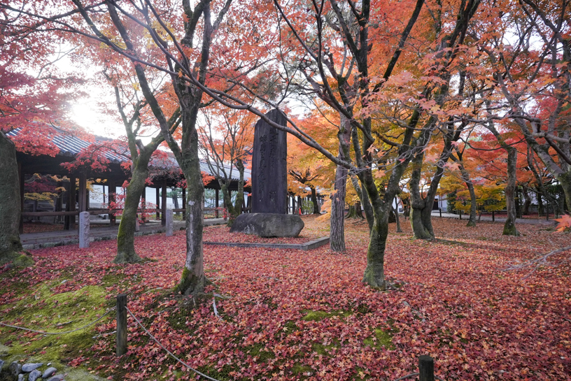 東福寺（撮影日：2024年12月6日）