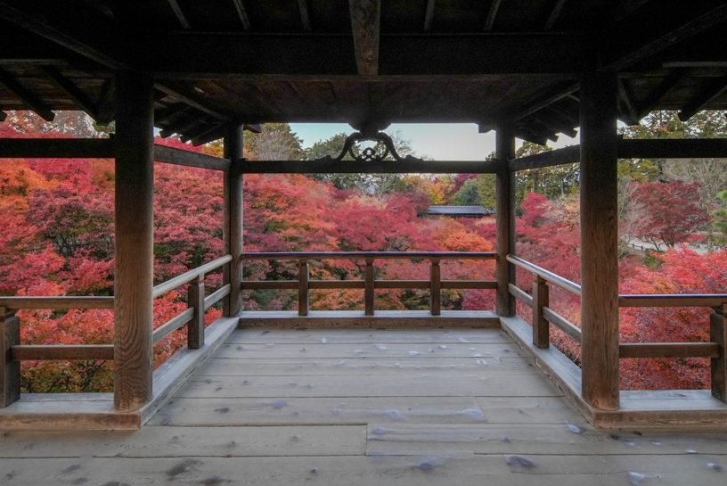 東福寺（撮影日：2024年12月6日）