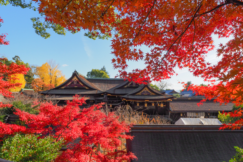 北野天満宮（撮影日：2024年12月6日）