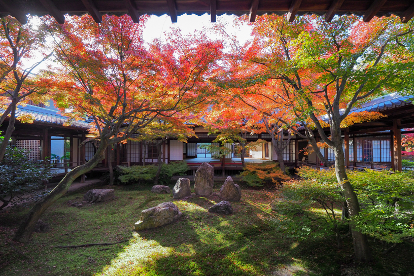 建仁寺 潮音庭（撮影日：2024年12月12日）