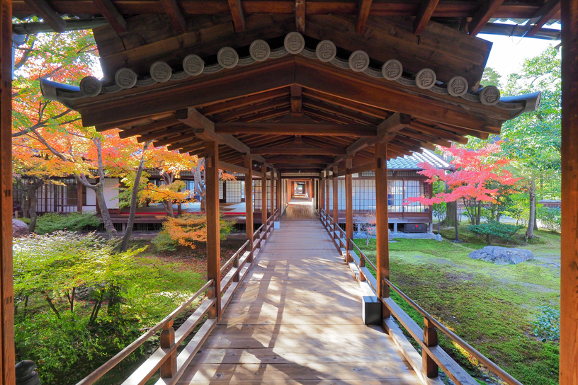 建仁寺（撮影日：2024年12月12日）