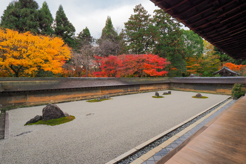 龍安寺 石庭（撮影日：2024年12月13日）