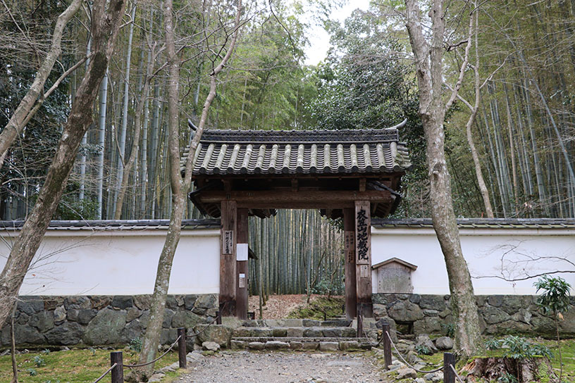 御朱印帖のデザインとなった参道の風景