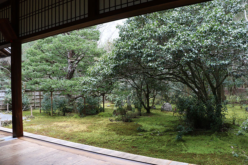 方丈庭園「十六羅漢の庭」