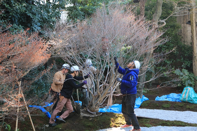 植え付け作業も大変です