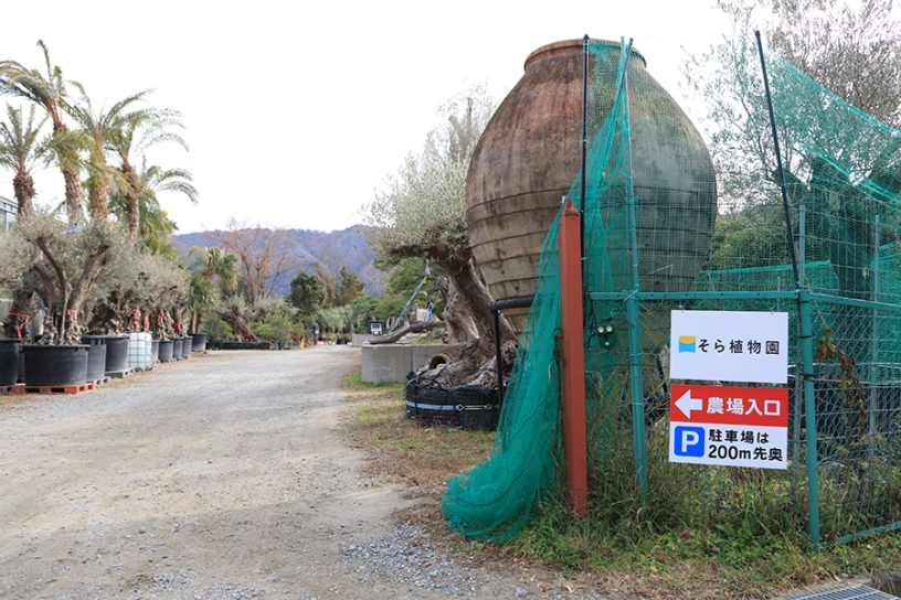 大阪府池田市のそら植物園