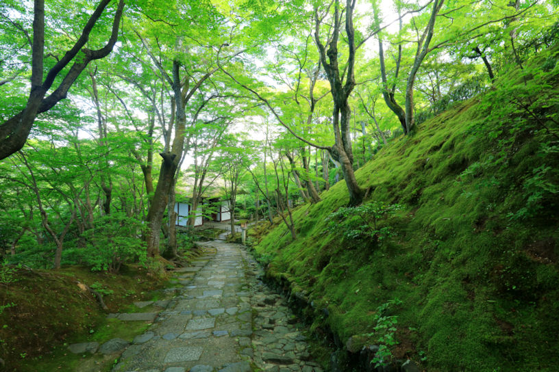 常寂光寺（2011年・2019年「そうだ 京都、行こう。」初夏キャンペーンの舞台）