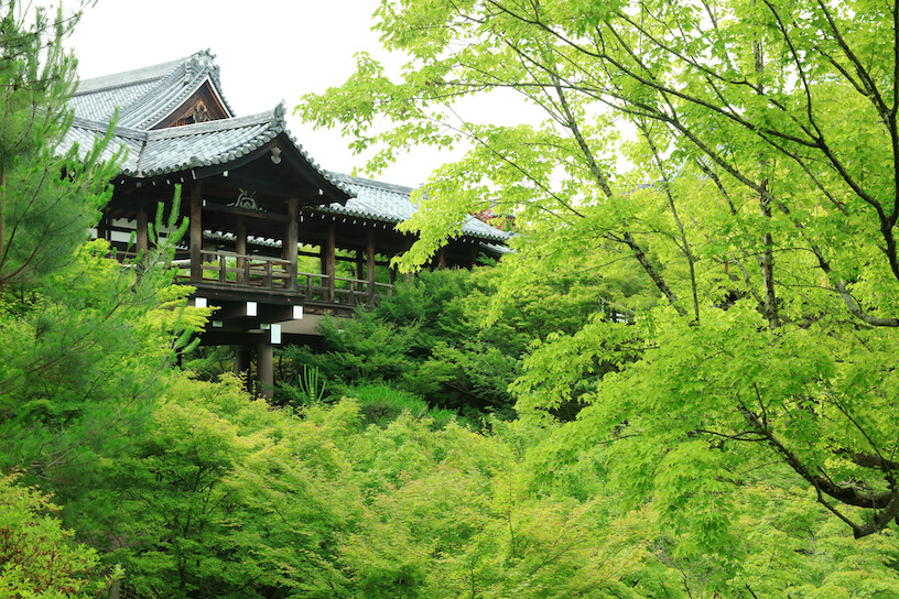 東福寺（2015年「そうだ 京都、行こう。」初夏キャンペーンの舞台）