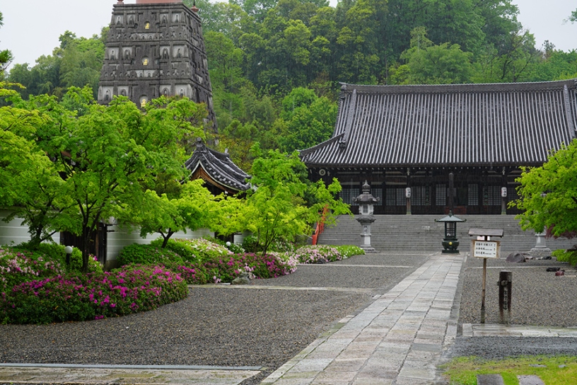 撮影日：2025年5月2日（金）