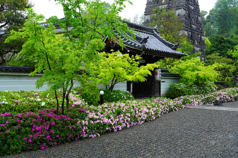 撮影日：2025年5月2日（金）