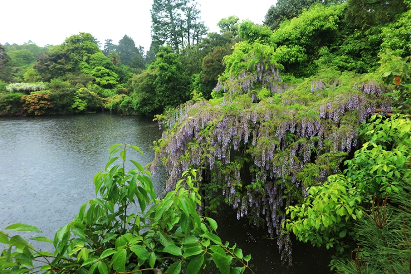 撮影日：2025年5月2日（金）