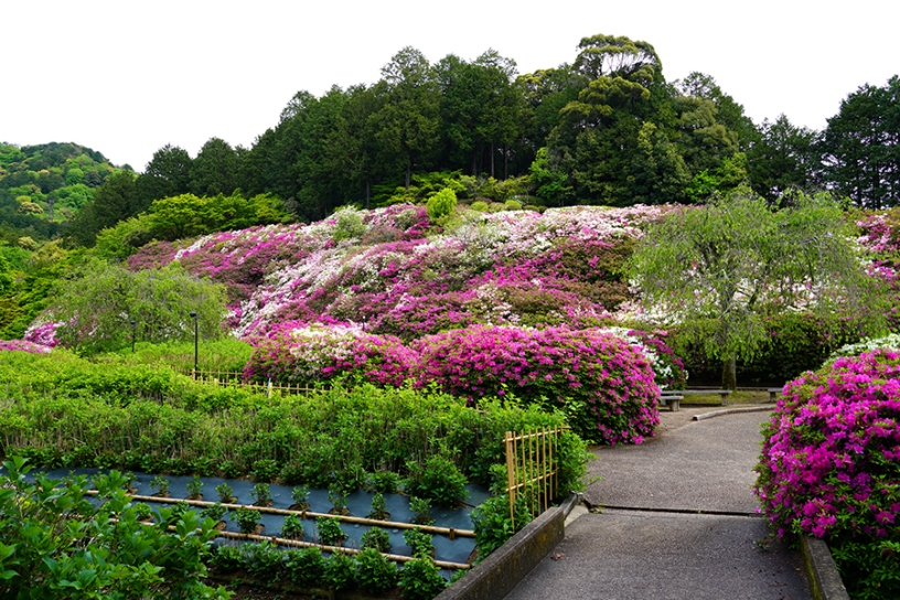 撮影日：2025年5月2日（金）