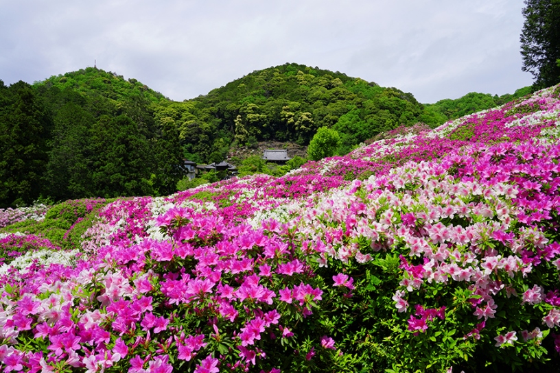 撮影日：2025年5月2日（金）