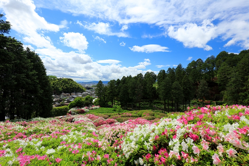 撮影日：2025年5月2日（金）