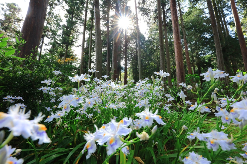 撮影日：2025年5月1日（木）