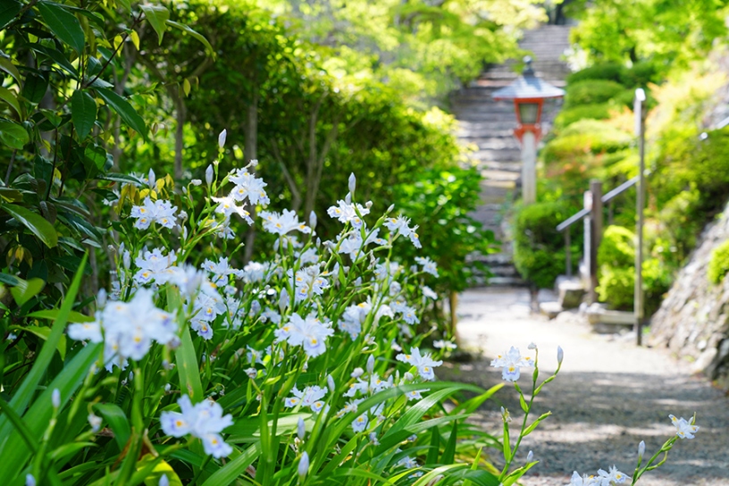 撮影日：2025年5月1日（木）