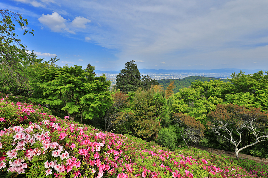 撮影日：2025年5月1日（木）