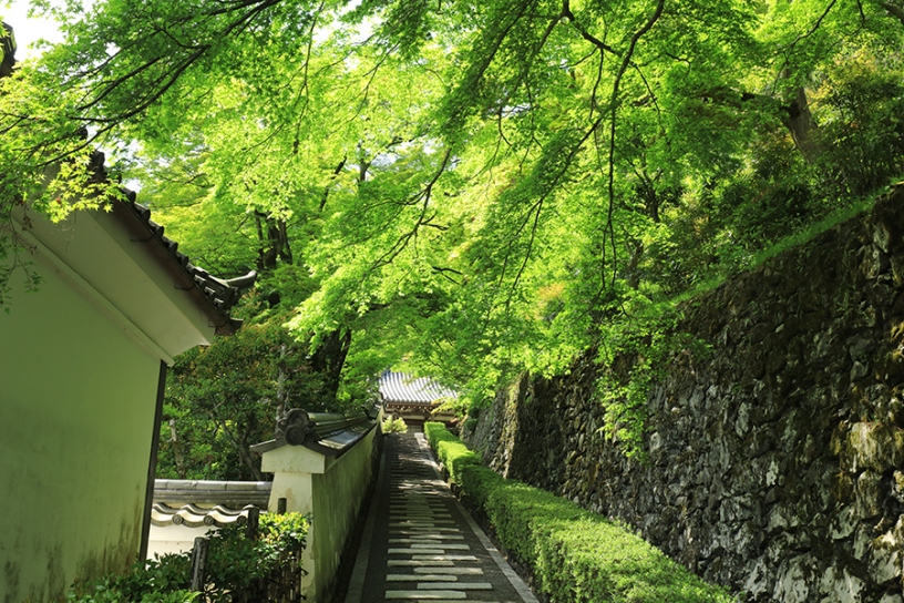 撮影日：2025年5月1日（木）