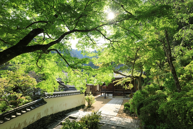 撮影日：2025年5月1日（木）