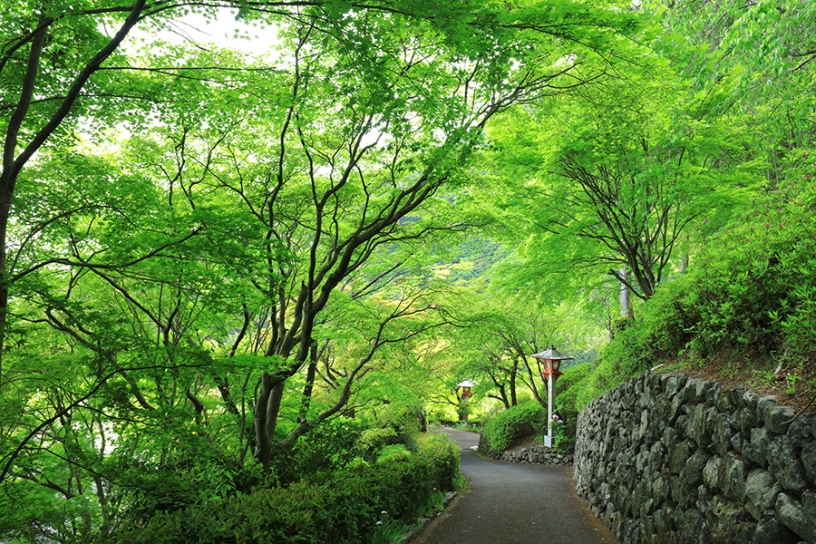 撮影日：2025年5月1日（木）
