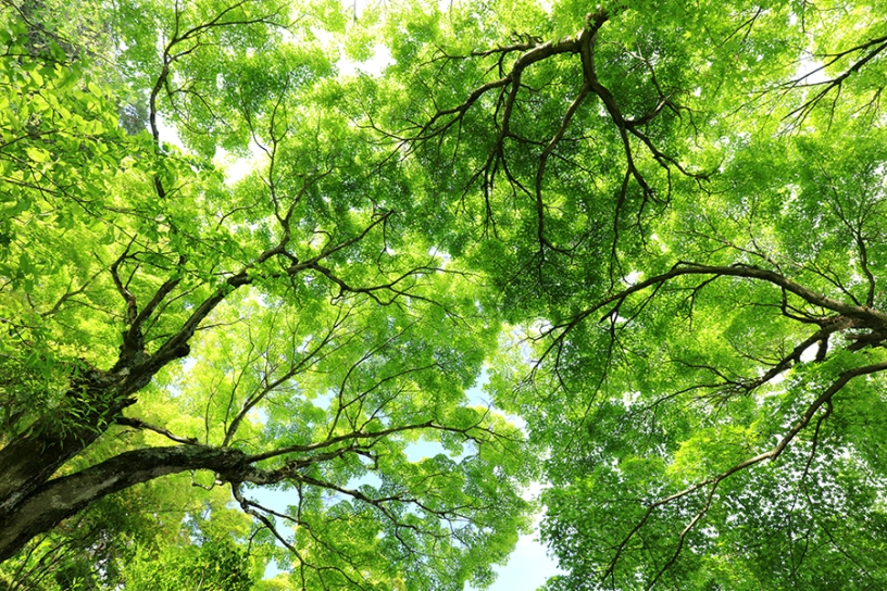 撮影日：2025年5月1日（木）