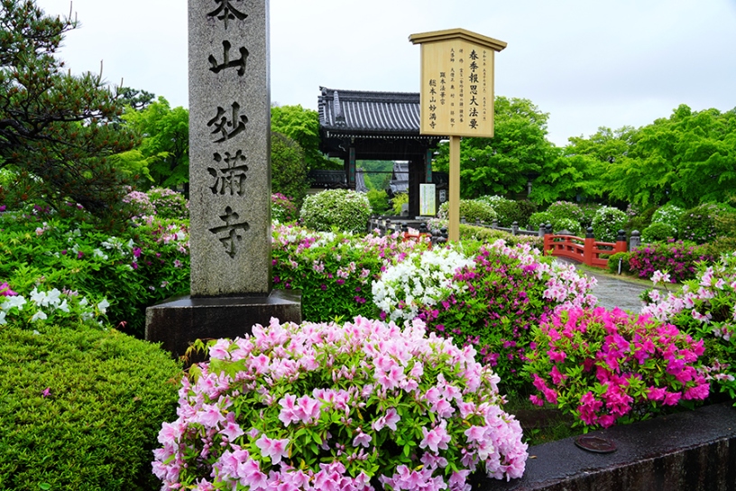 撮影日：2025年5月2日（金）