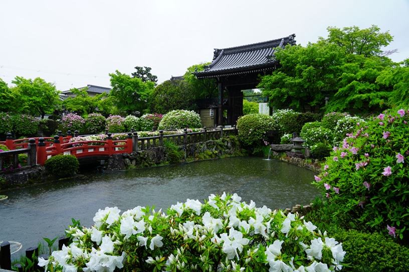撮影日：2025年5月2日（金）